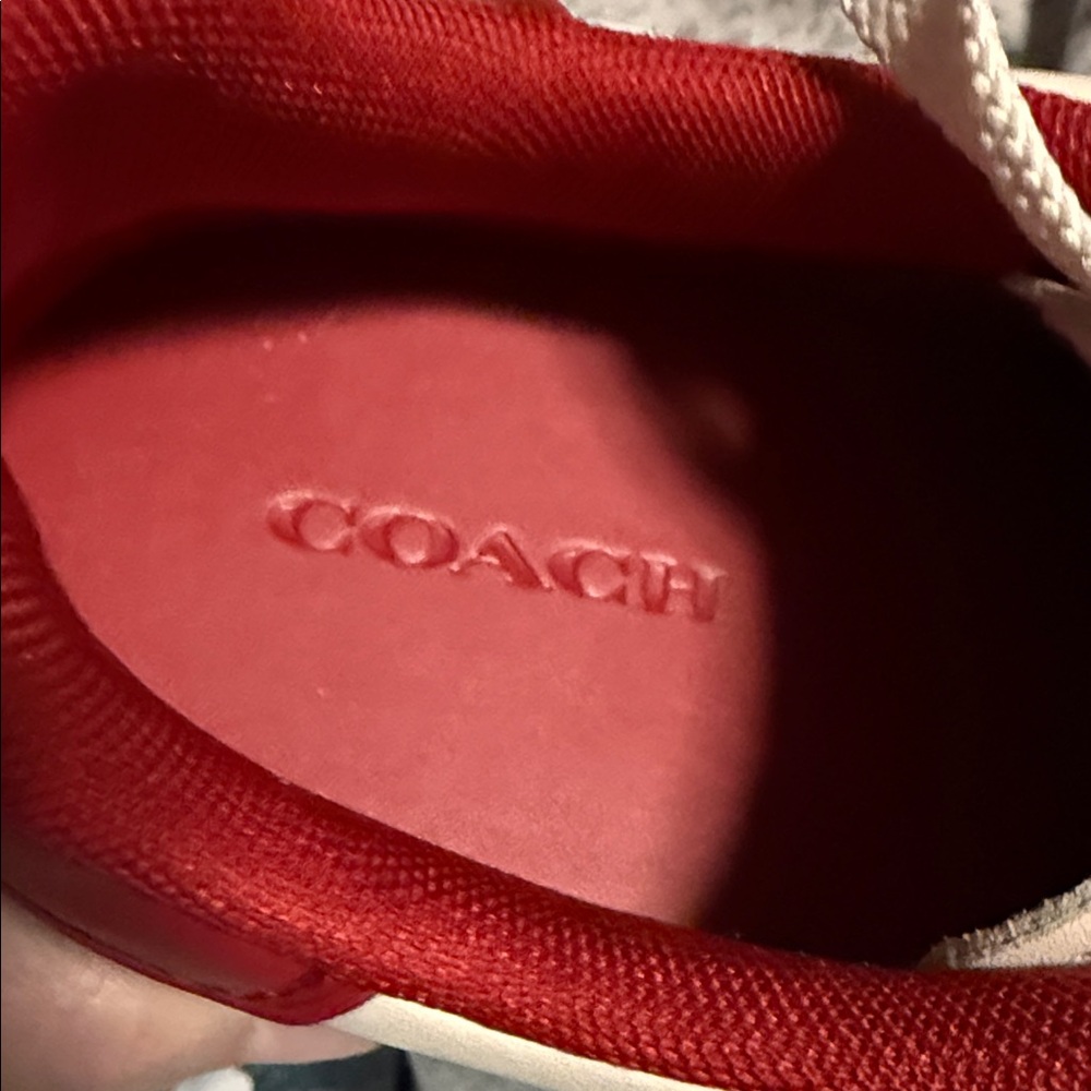 Coach High Line New Year’s Eve Sneaker with Snake and Script Coach - Picture 7 of 7